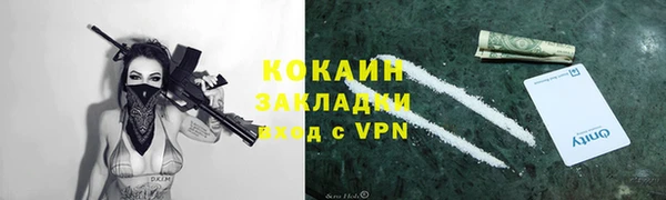 индика Дмитриев