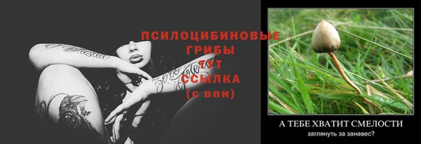 прущие крисы Дмитровск