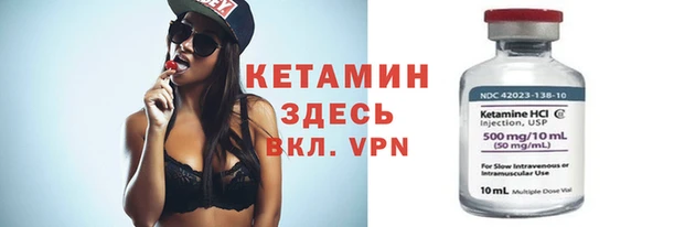 индика Дмитриев