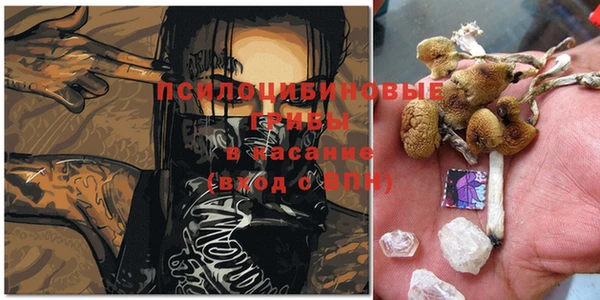 прущие крисы Горнозаводск