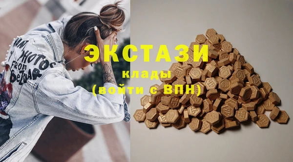 индика Дмитриев