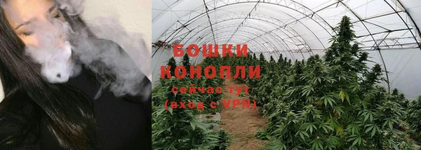 винт Дмитров