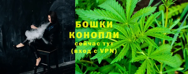 винт Дмитров
