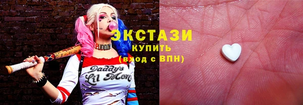 индика Дмитриев