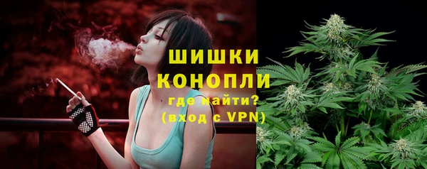 индика Дмитриев