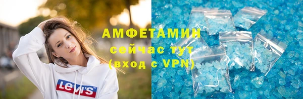 индика Дмитриев